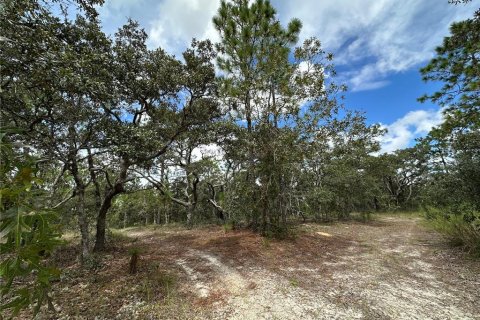 Terrain à vendre à Dunnellon, Floride № 2228545 - photo 5