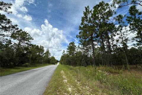 Terrain à vendre à Dunnellon, Floride № 2228545 - photo 3