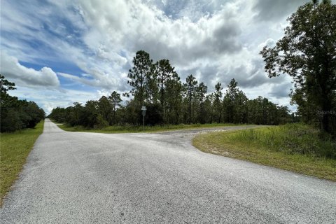 Terrain à vendre à Dunnellon, Floride № 2228545 - photo 2