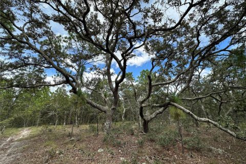 Terrain à vendre à Dunnellon, Floride № 2228545 - photo 6