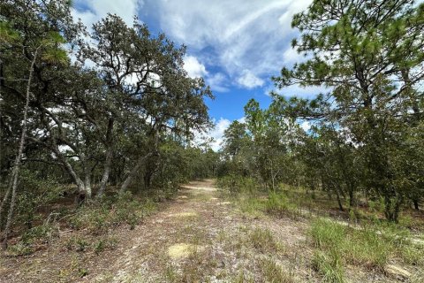 Terrain à vendre à Dunnellon, Floride № 2228545 - photo 4