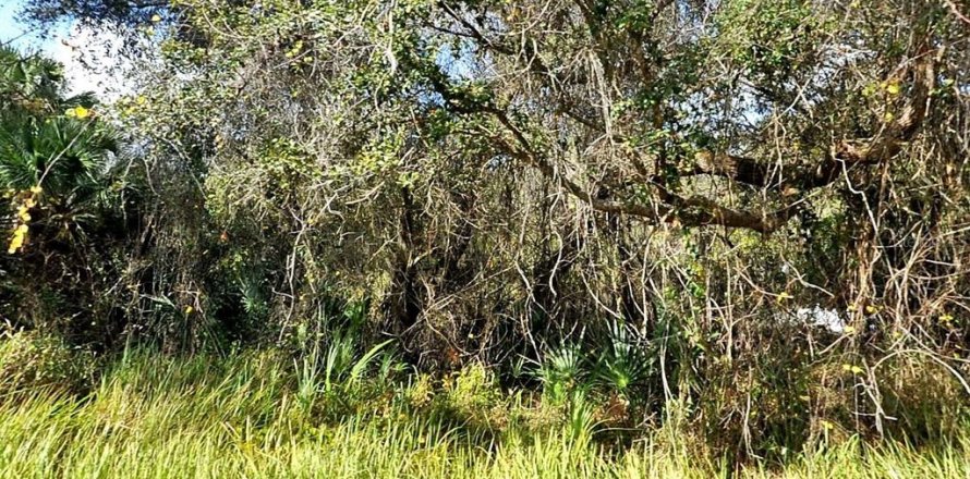 Land in North Port, Florida № 2228814