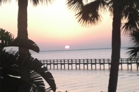 Land in North Port, Florida № 2228814 - photo 2