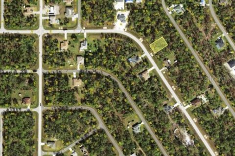 Land in Port Charlotte, Florida № 2161928 - photo 4