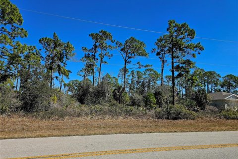 Land in Port Charlotte, Florida № 2161928 - photo 3