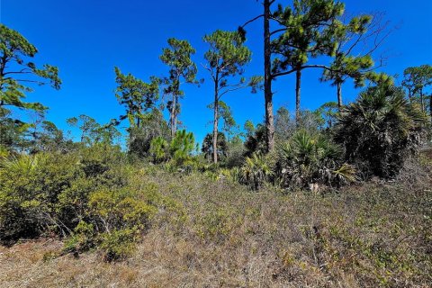 Land in Port Charlotte, Florida № 2161928