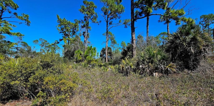 Land in Port Charlotte, Florida № 2161928