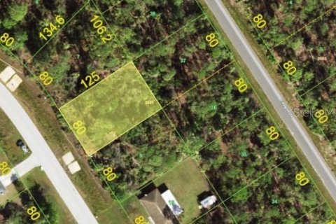 Land in Port Charlotte, Florida № 2161928 - photo 2