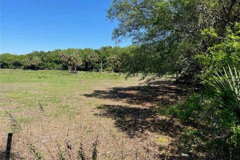Terreno en venta en Tampa, Florida № 2126702 - foto 2