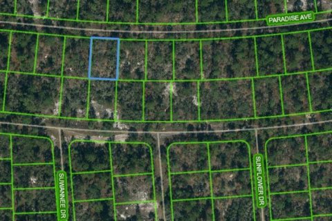 Land in Lake Placid, Florida № 2223935
