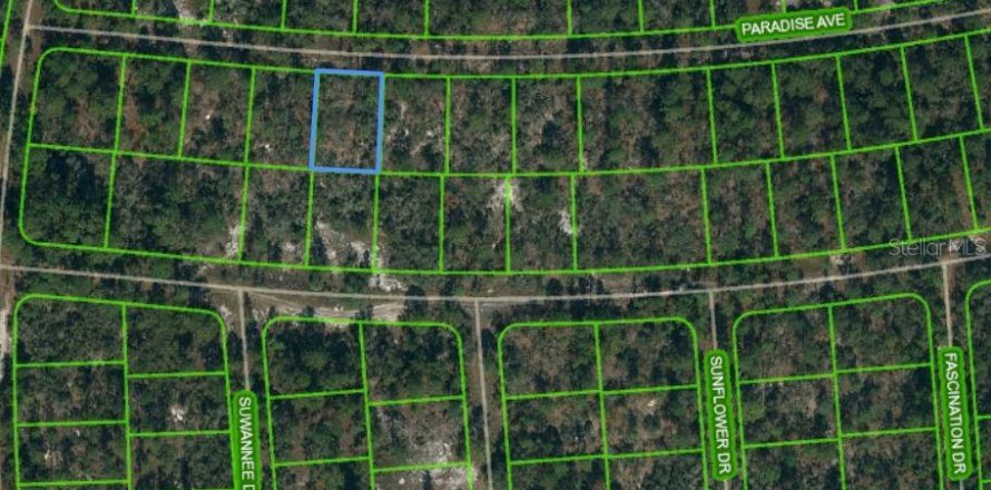 Land in Lake Placid, Florida № 2223935