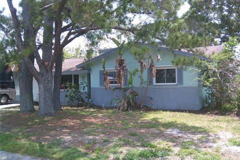 Land in Palm Harbor, Florida № 1681447 - photo 3