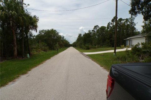 Land in Punta Gorda, Florida № 2164726 - photo 8