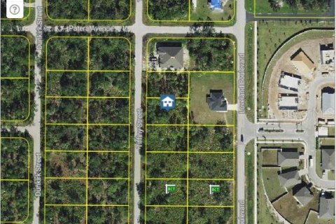 Land in Punta Gorda, Florida № 2164726 - photo 7