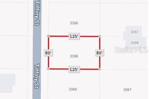 Land in Punta Gorda, Florida № 2164726 - photo 3