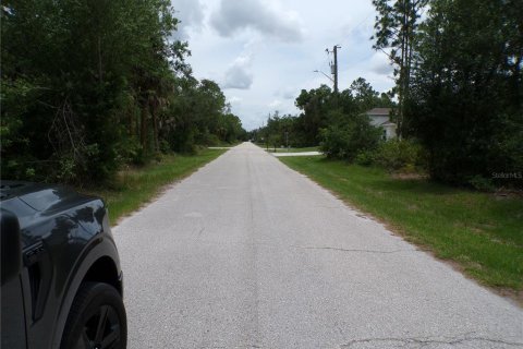 Land in Punta Gorda, Florida № 2164726 - photo 9