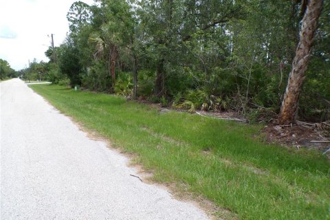Land in Punta Gorda, Florida № 2164726 - photo 6