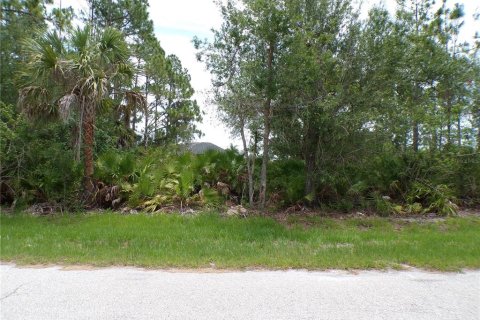 Land in Punta Gorda, Florida № 2164726