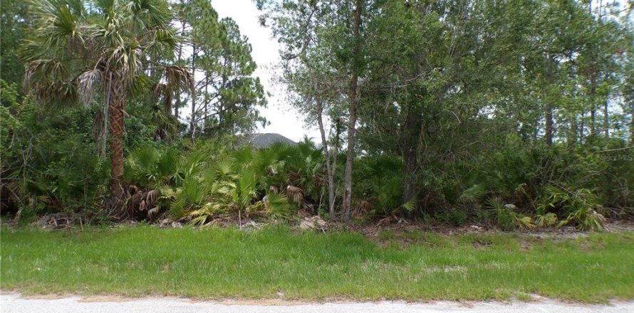 Land in Punta Gorda, Florida № 2164726