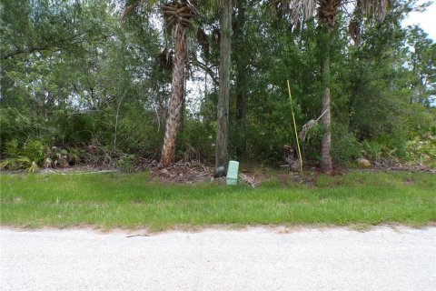 Land in Punta Gorda, Florida № 2164726 - photo 5