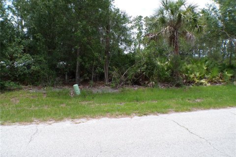 Land in Punta Gorda, Florida № 2164726 - photo 2