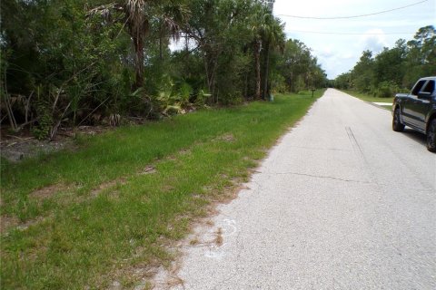 Land in Punta Gorda, Florida № 2164726 - photo 4