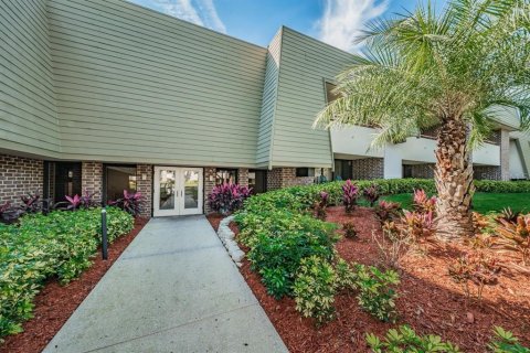 Studio in the Condo in Palm Harbor, Florida  № 2353203