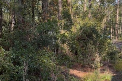 Land in Crescent City, Florida № 2165028
