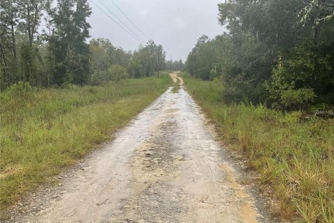 Land in Williston, Florida № 2161783 - photo 5