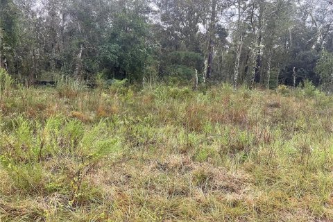 Land in Williston, Florida № 2161783 - photo 8