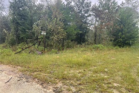 Land in Williston, Florida № 2161783