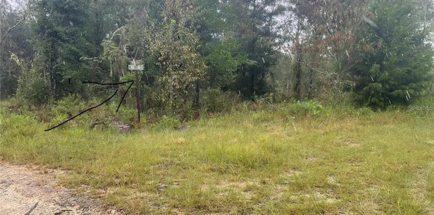 Land in Williston, Florida № 2161783