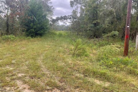 Land in Williston, Florida № 2161783 - photo 2