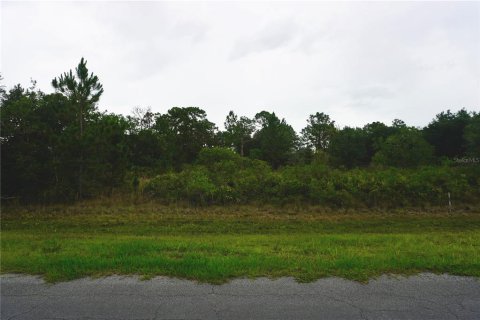 Terrain à Orlando, Floride № 2207631