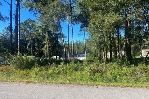 Land in Ocala, Florida № 2164602