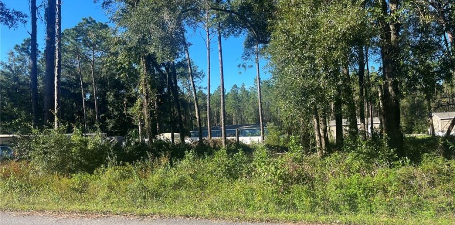 Terreno en Ocala, Florida № 2164602