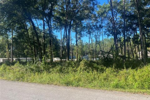 Terreno en venta en Ocala, Florida № 2164602 - foto 2