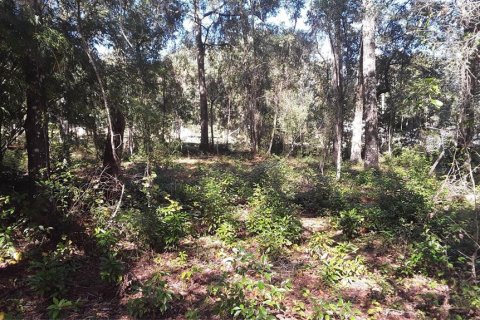 Land in Sebring, Florida № 2162910