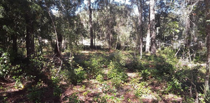 Land in Sebring, Florida № 2162910