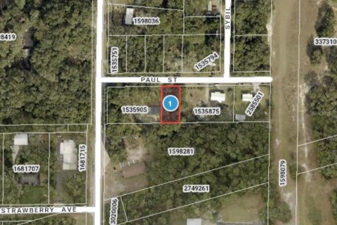 Land in Mount Plymouth, Florida № 1881013 - photo 1