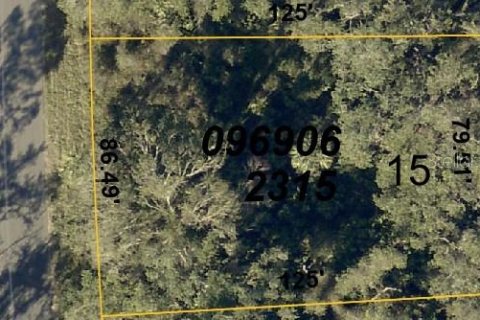 Land in North Port, Florida № 2163516 - photo 3