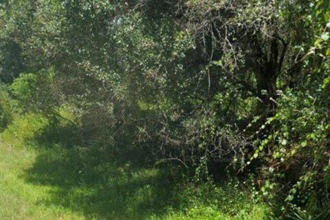 Land in North Port, Florida № 2163516 - photo 2