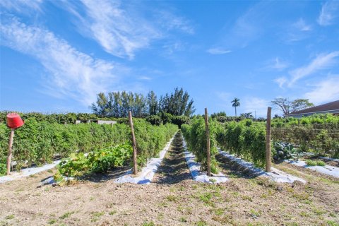 Casa en venta en Miami, Florida, 2 dormitorios, 676.33 m2 № 1968327 - foto 13