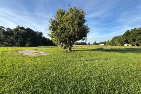 Terrain à Plant City, Floride № 2413476