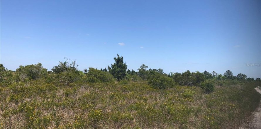 Terreno en Punta Gorda, Florida № 1775618