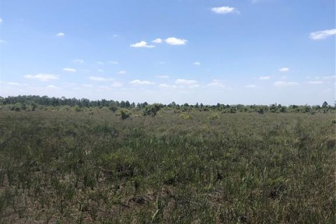 Terreno en venta en Punta Gorda, Florida № 1775618 - foto 4