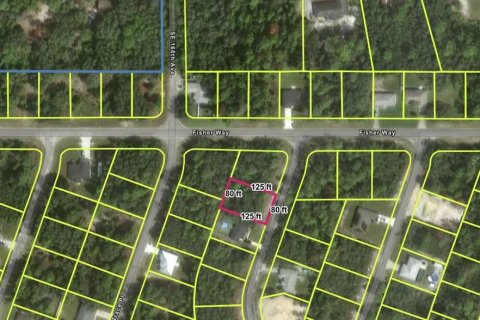Land in Ocklawaha, Florida № 2159499