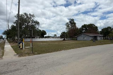 Land in Avon Park, Florida № 2227990 - photo 2