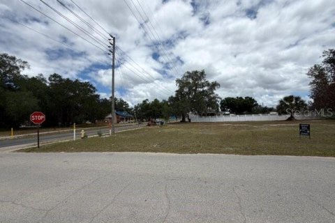 Land in Avon Park, Florida № 2227990 - photo 3