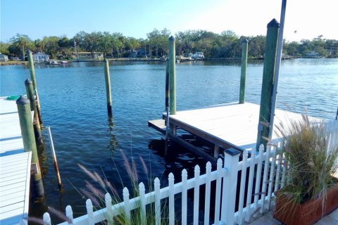 House in Port Richey, Florida 4 bedrooms, 341.14 sq.m. № 1690929 - photo 19